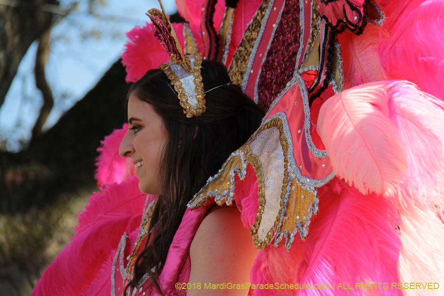 2018-Krewe-of-Alla-00003194