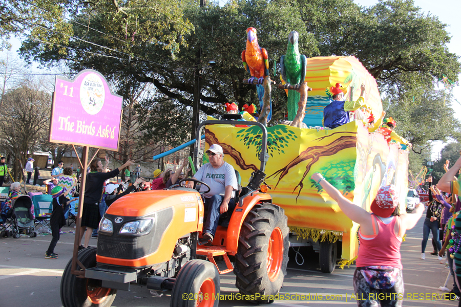 2018-Krewe-of-Alla-00003230