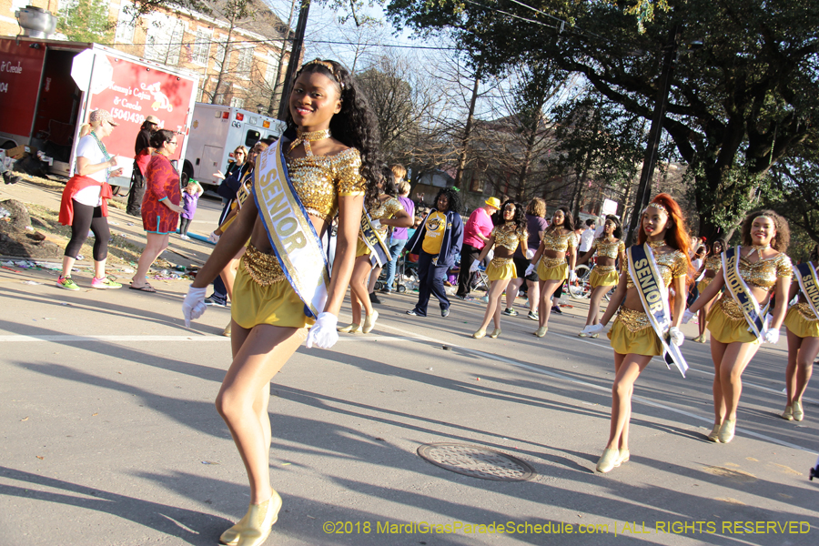 2018-Krewe-of-Alla-00003262