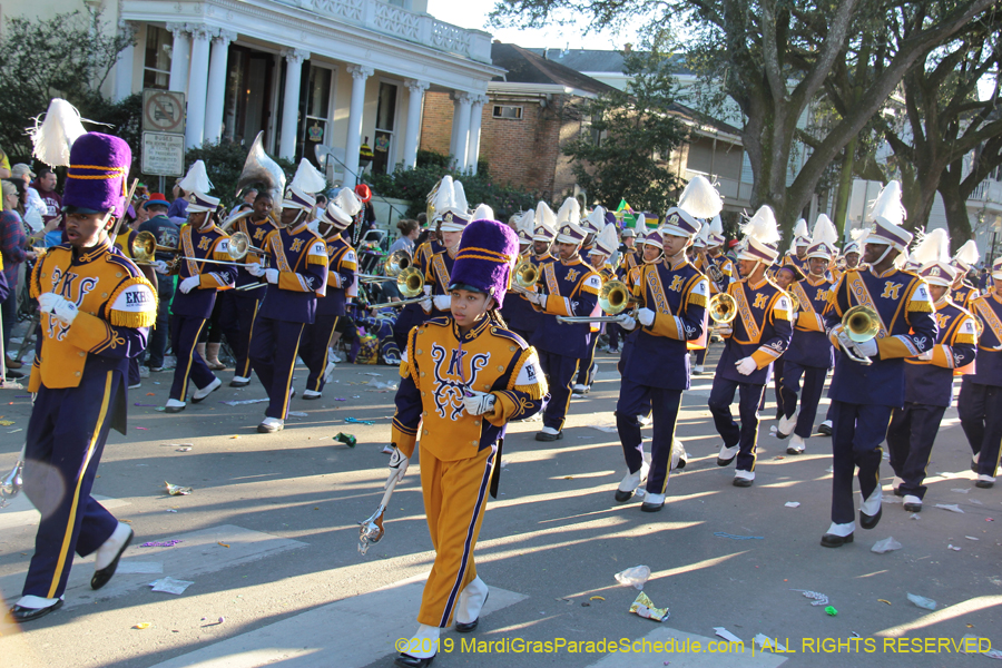 Krewe-of-Alla-2019-003774