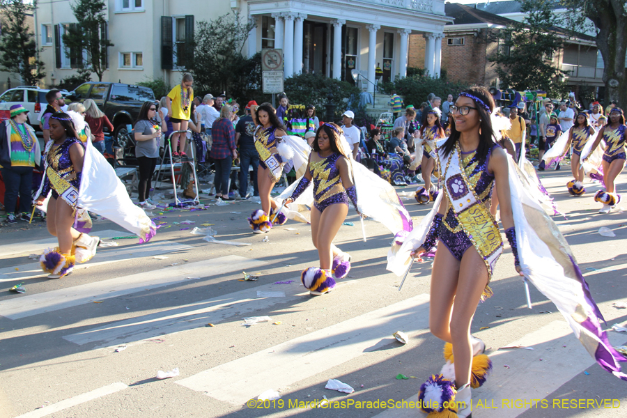 Krewe-of-Alla-2019-003778