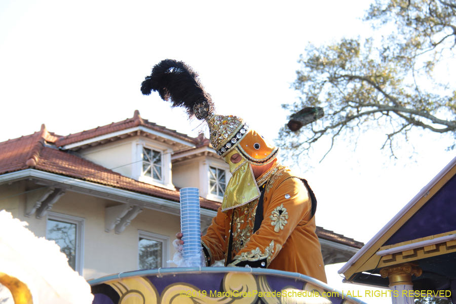 Krewe-of-Alla-2019-003783