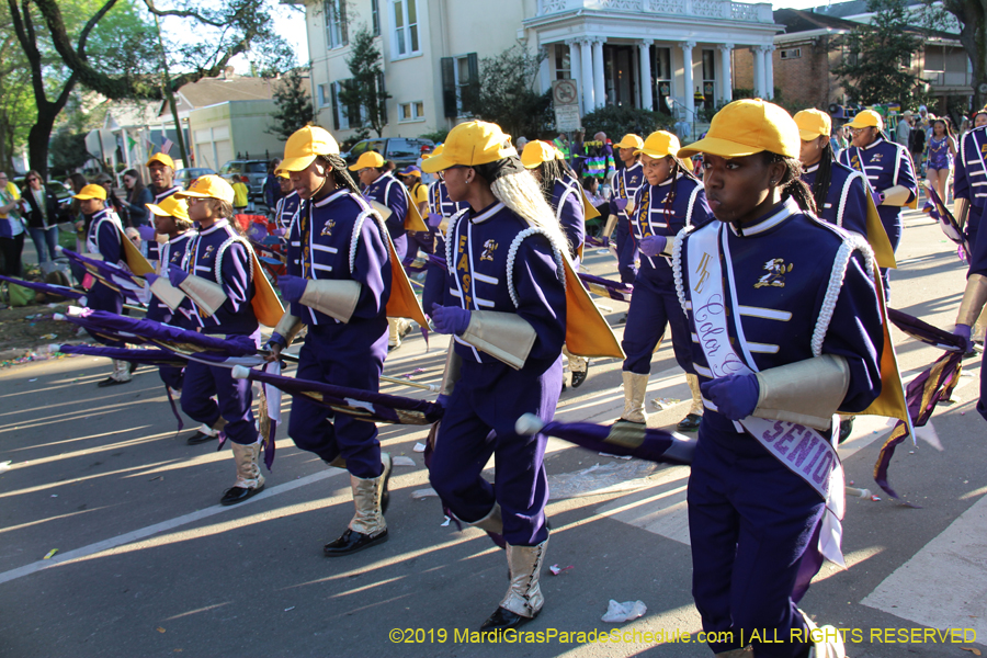 Krewe-of-Alla-2019-003788