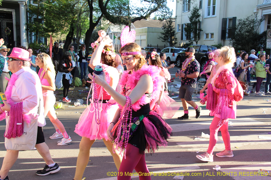 Krewe-of-Alla-2019-003807