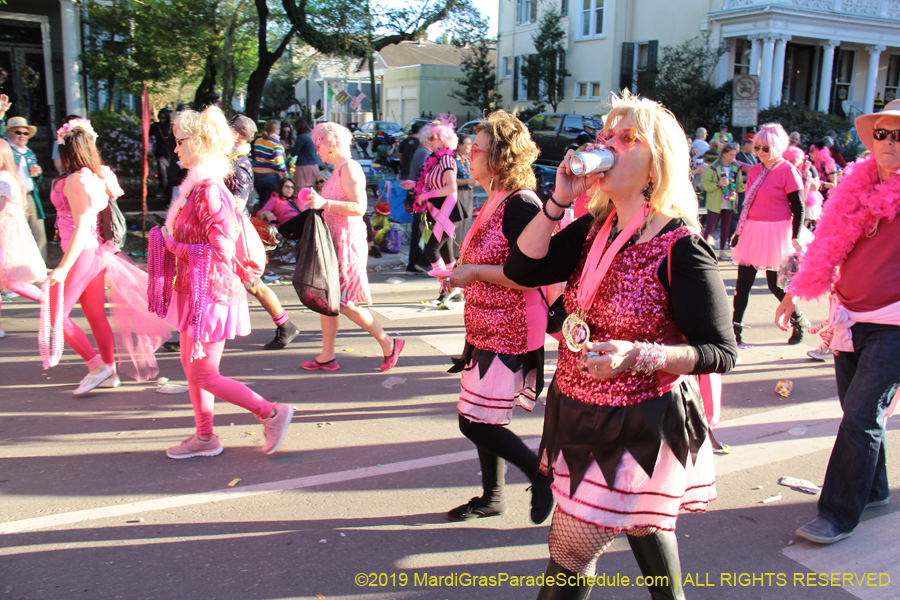 Krewe-of-Alla-2019-003808