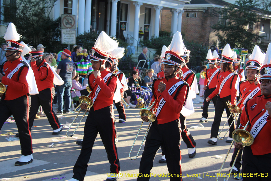 Krewe-of-Alla-2019-003811