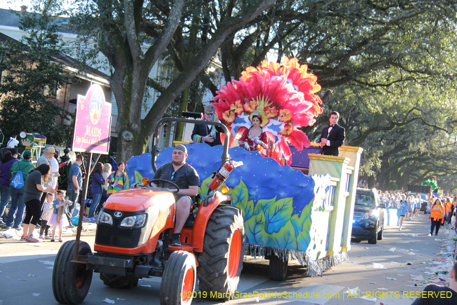 Krewe-of-Alla-2019-003826
