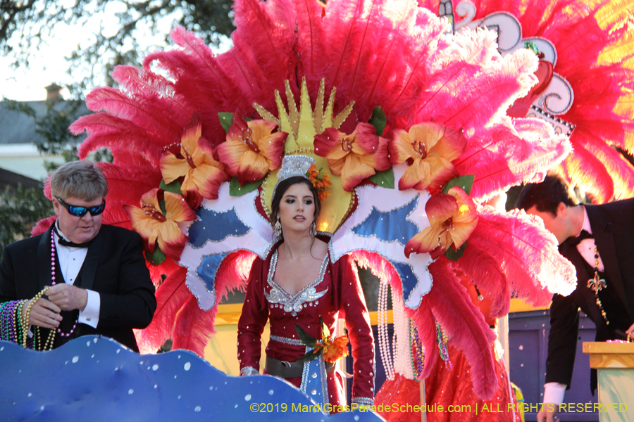 Krewe-of-Alla-2019-003827