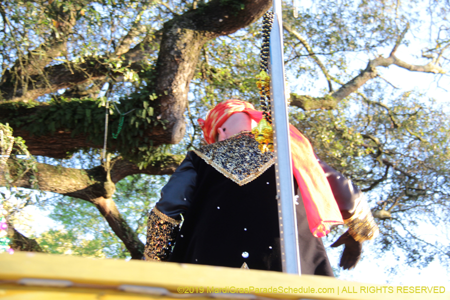 Krewe-of-Alla-2019-003839