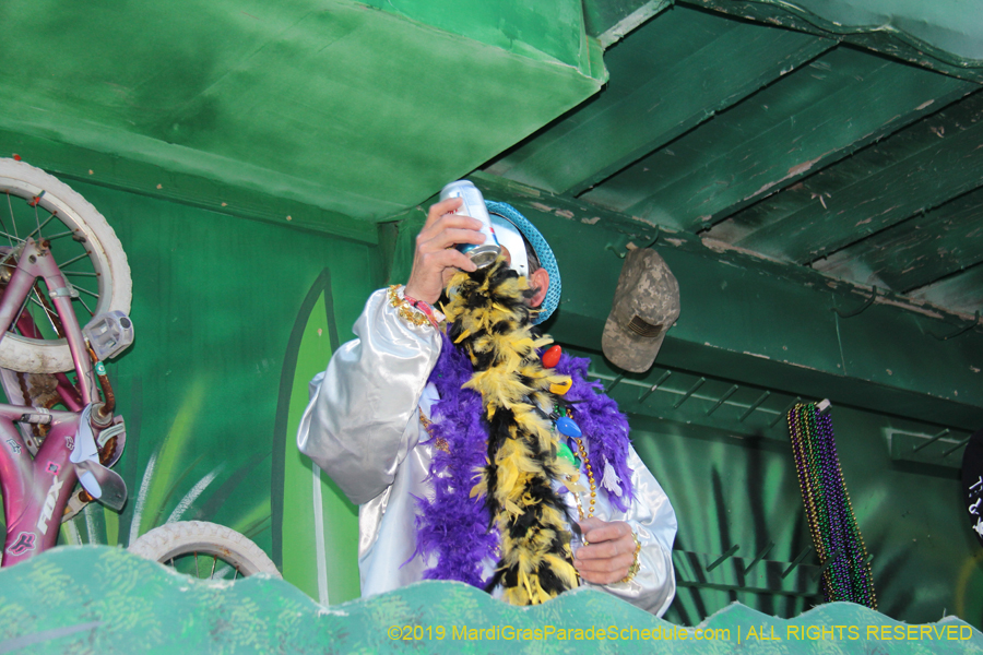 Krewe-of-Alla-2019-003858