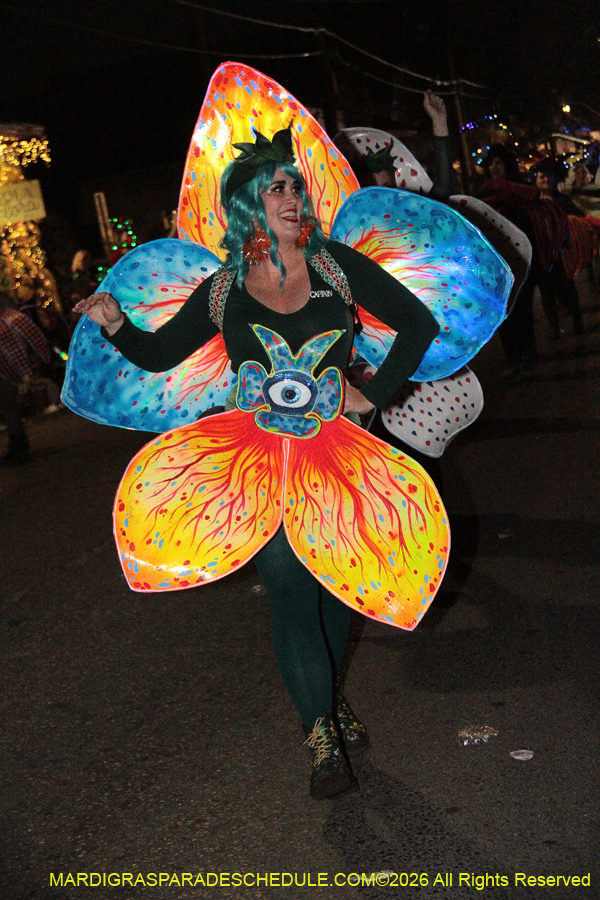 Krewe-of-Alla-2026-5507