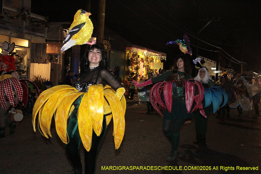 Krewe-of-Alla-2026-5508