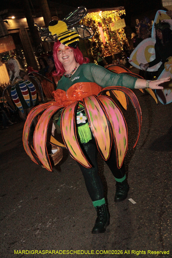 Krewe-of-Alla-2026-5509