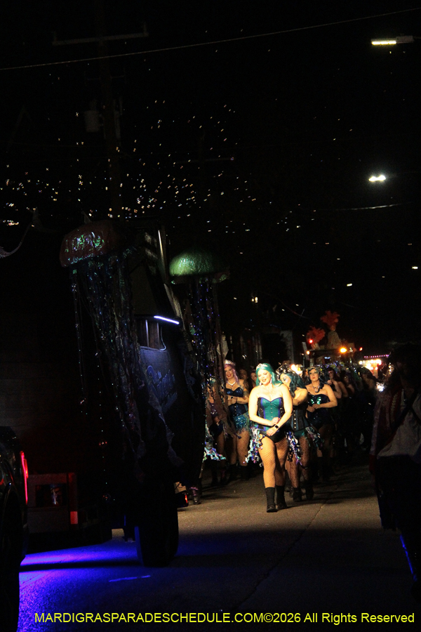 Krewe-of-Alla-2026-5523