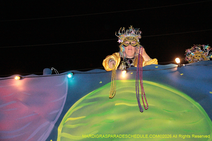 Krewe-of-Alla-2026-5583