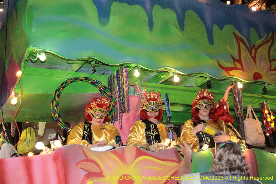 Krewe-of-Alla-2026-5620