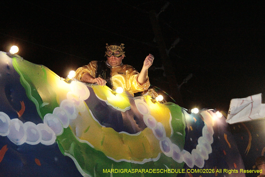 Krewe-of-Alla-2026-5647