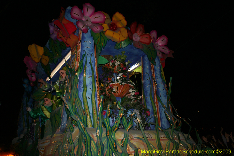 Knights-of-Babylon-2009-Mardi-Gras-New-Orleans-0068