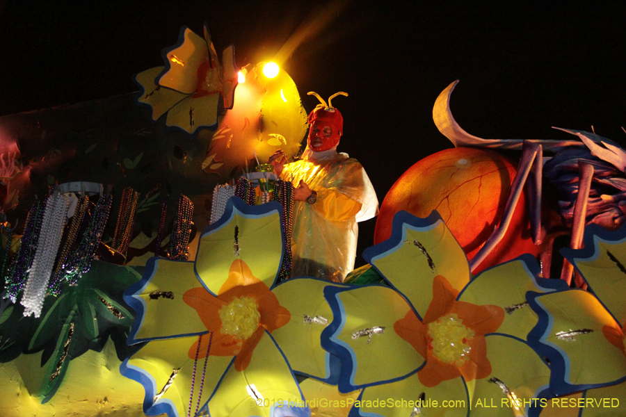 Knights-of-Babylon-2019-004771