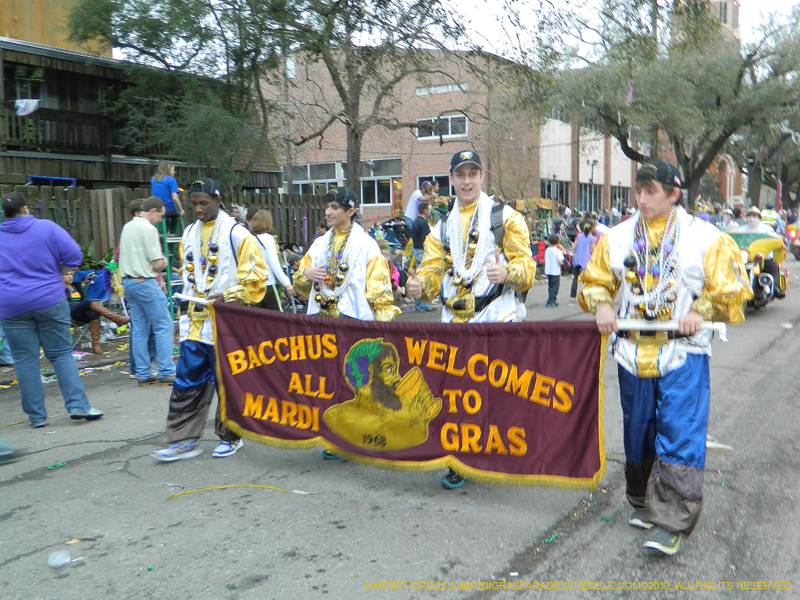 Krewe-of-Bacchus-2013-1002