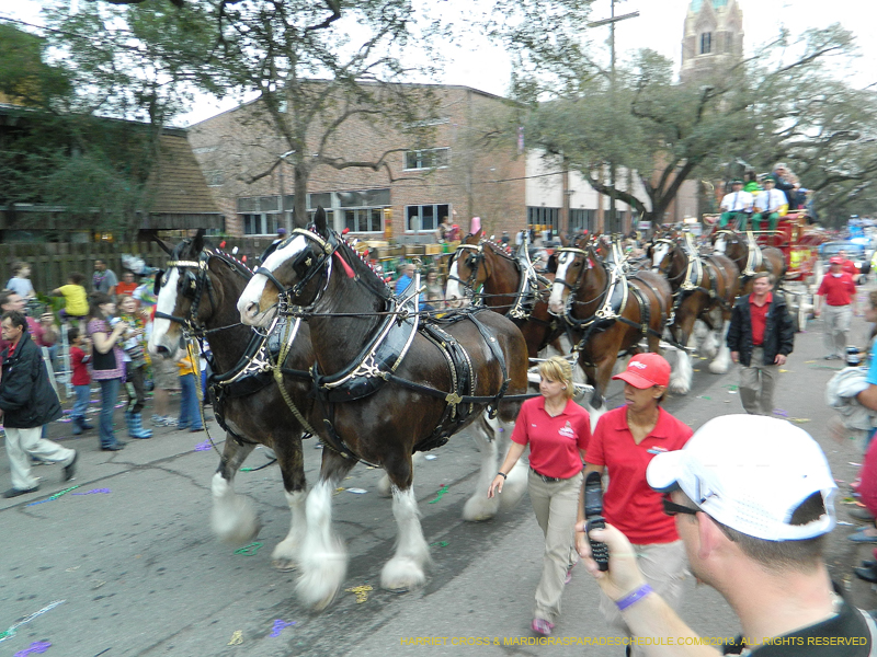 Krewe-of-Bacchus-2013-1012
