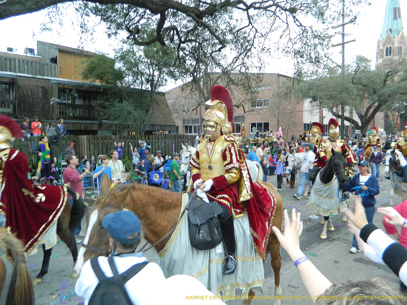 Krewe-of-Bacchus-2013-1015