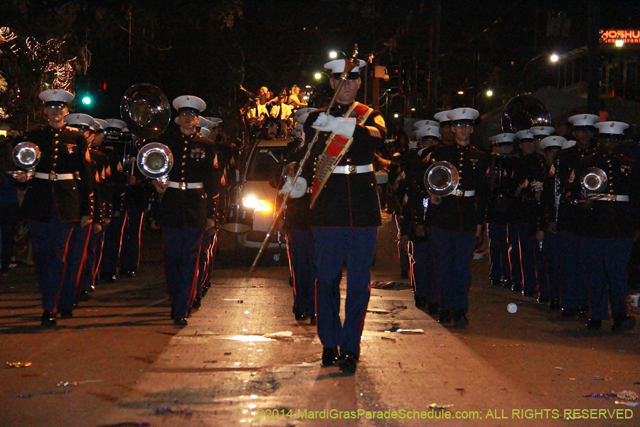 2014-Krewe-of-Bacchus-11012