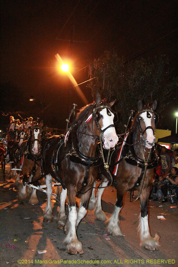 2014-Krewe-of-Bacchus-11016