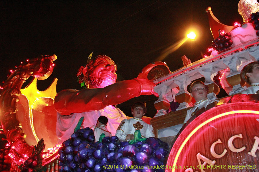 2014-Krewe-of-Bacchus-11036