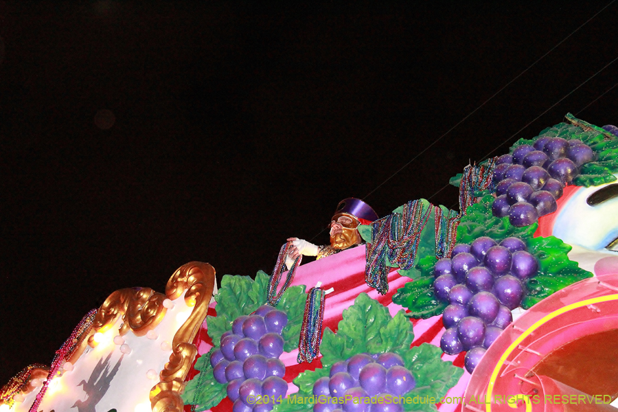 2014-Krewe-of-Bacchus-11105