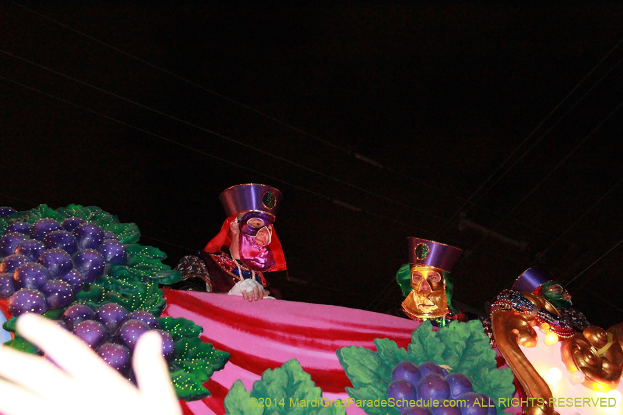 2014-Krewe-of-Bacchus-11110