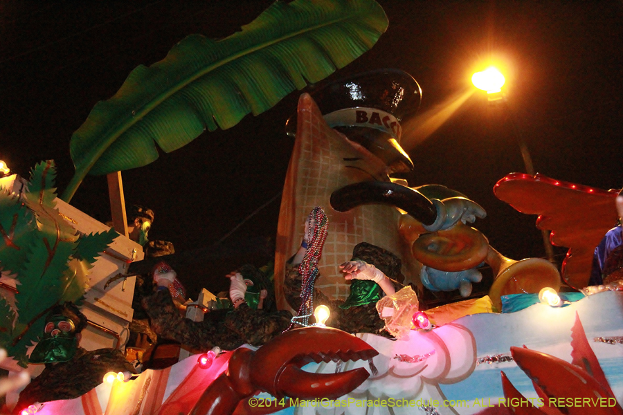 2014-Krewe-of-Bacchus-11121