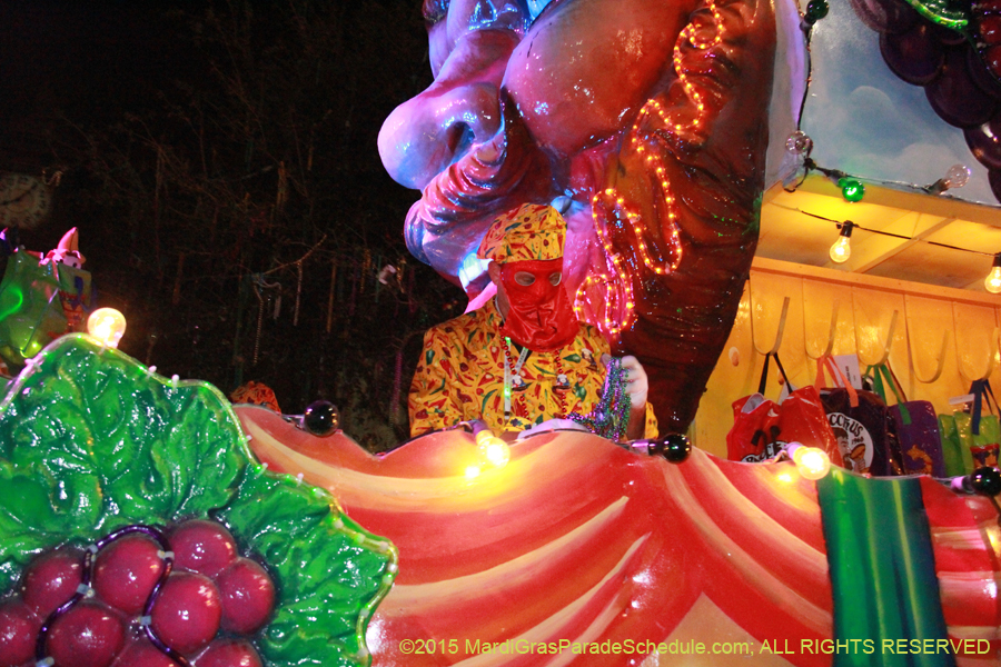 Krewe-of-Bacchus-2015-18411
