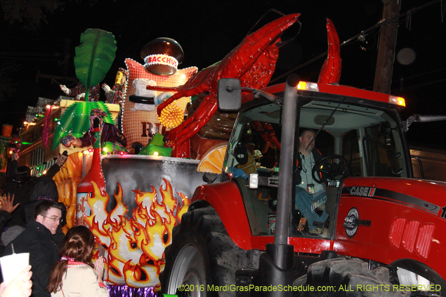 2016-Krewe-of-Bacchus-012915