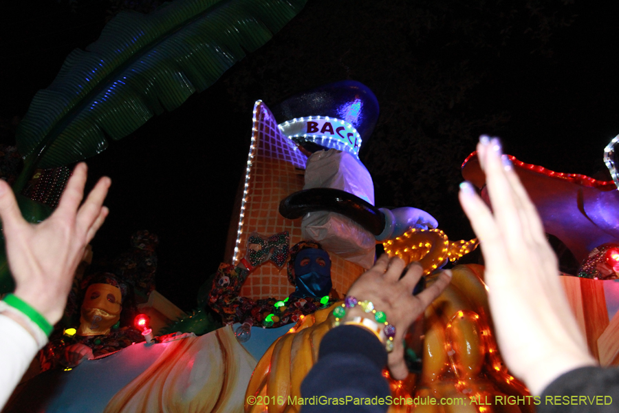 2016-Krewe-of-Bacchus-012916