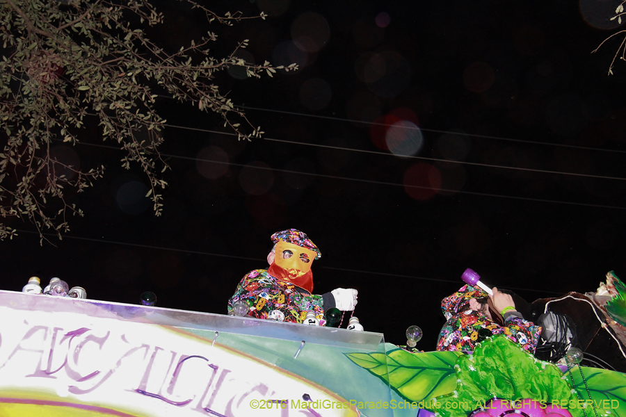 2016-Krewe-of-Bacchus-012922