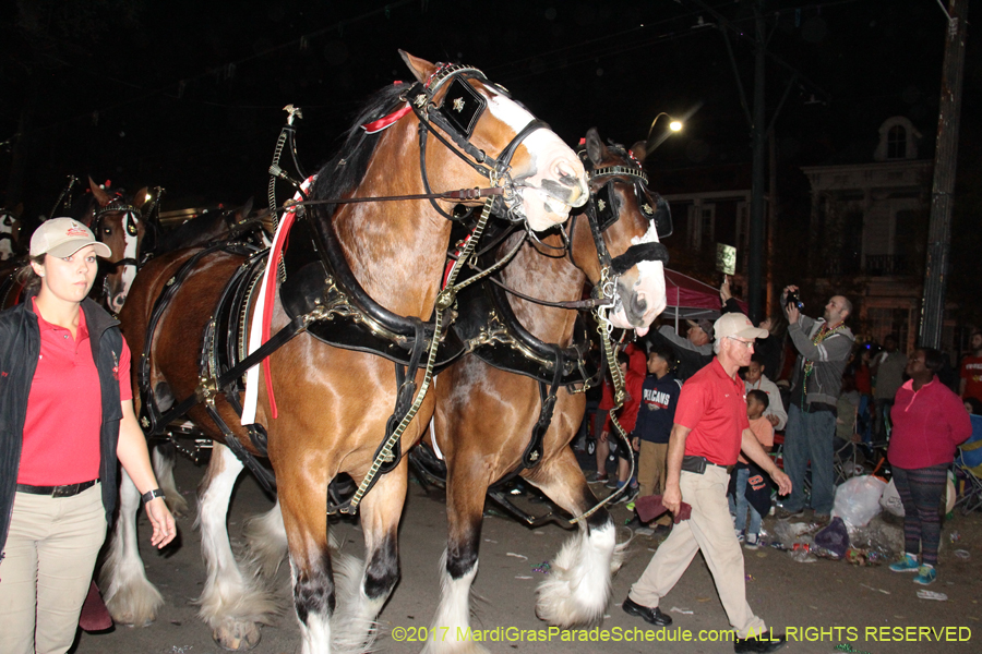 Krewe-of-Bacchus-2017-10675