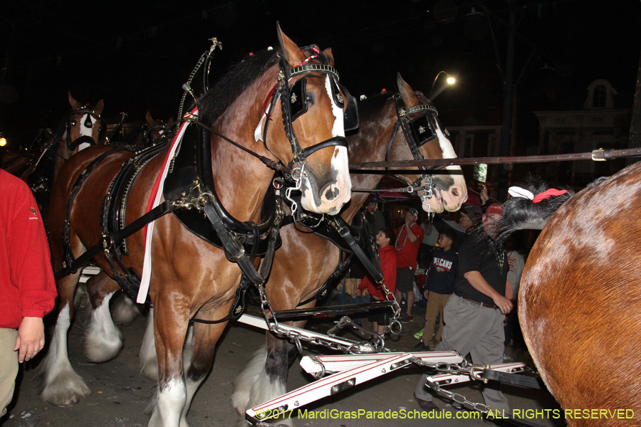 Krewe-of-Bacchus-2017-10676