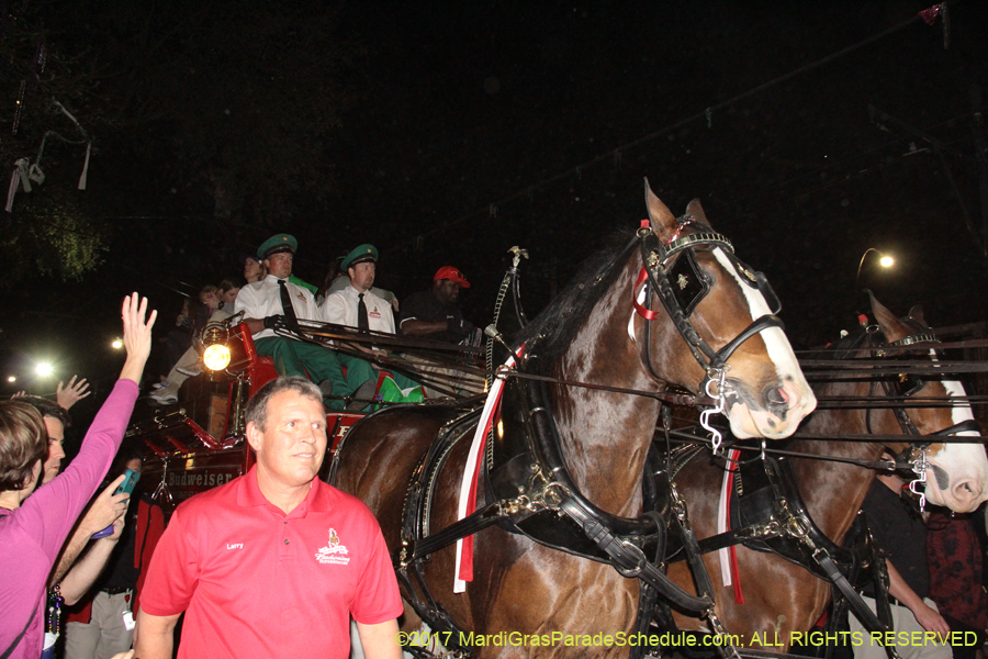 Krewe-of-Bacchus-2017-10677
