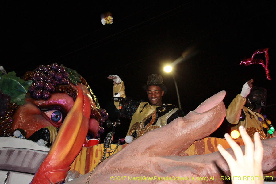 Krewe-of-Bacchus-2017-10721