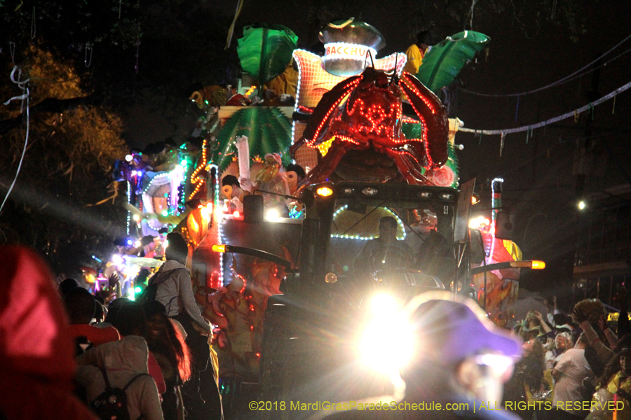 2018-Krewe-of-Bacchus-00007734