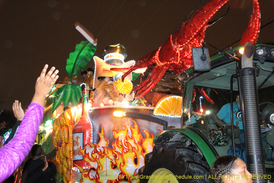 2018-Krewe-of-Bacchus-00007735