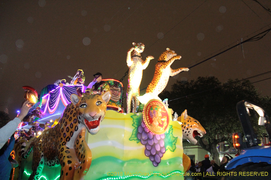 2018-Krewe-of-Bacchus-00007757