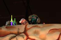 2018-Krewe-of-Bacchus-00007806