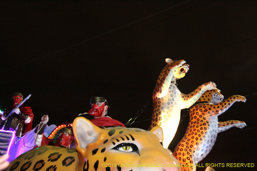 Krewe-of-Bacchus-2019-008895