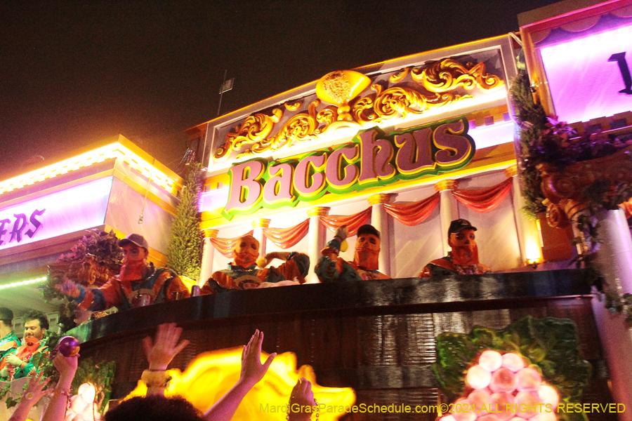 2024-Bacchus-11803