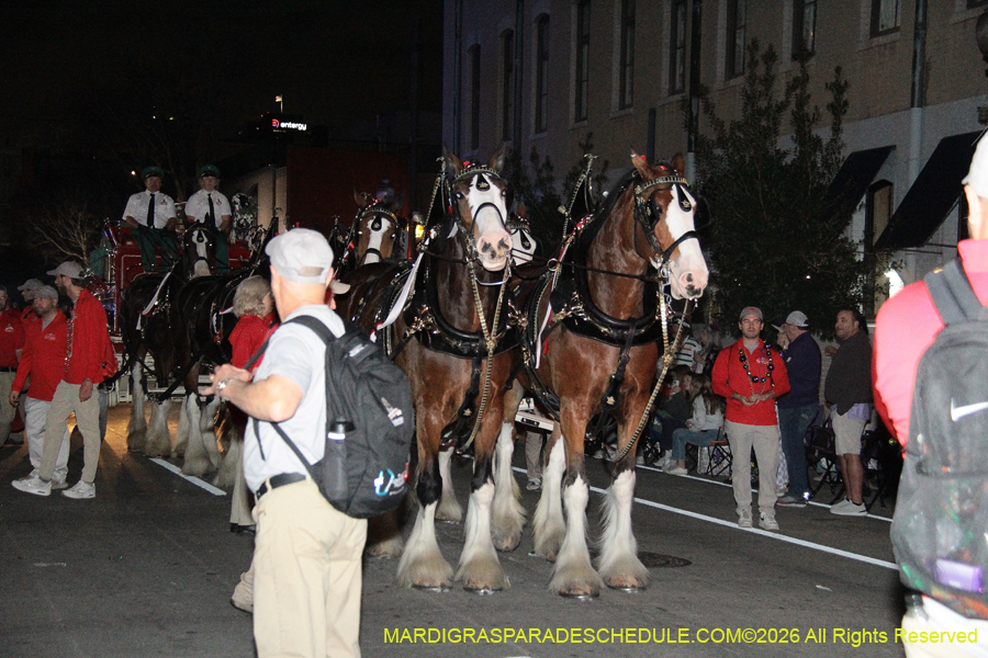 Krewe-of-Bacchus-2026-12106