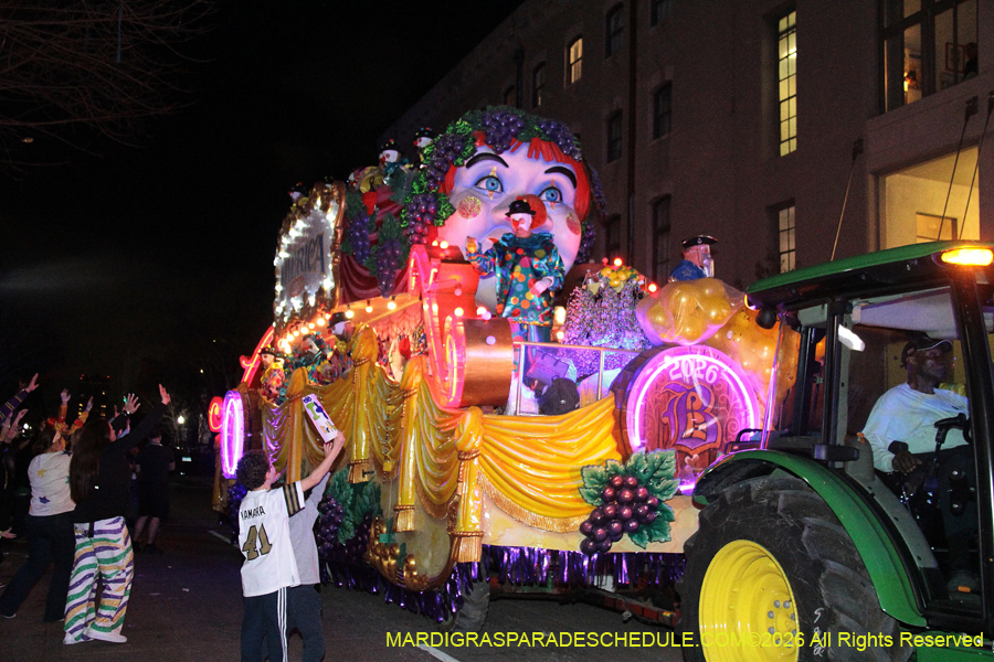 Krewe-of-Bacchus-2026-12153