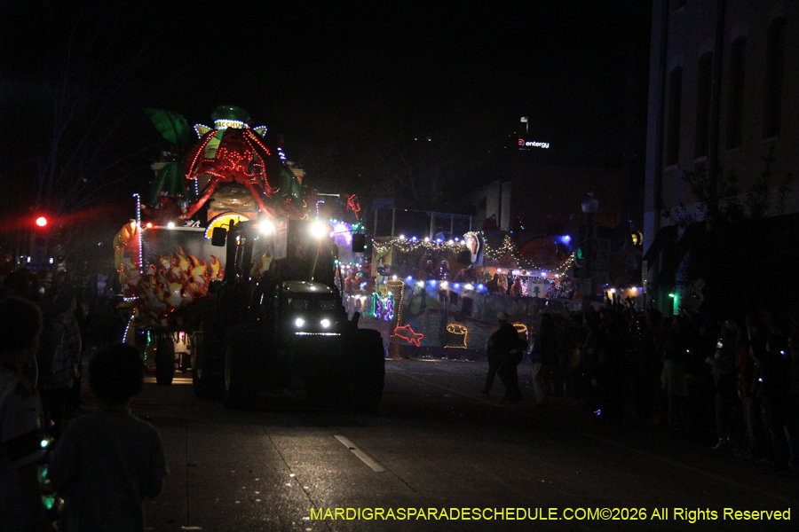 Krewe-of-Bacchus-2026-12168