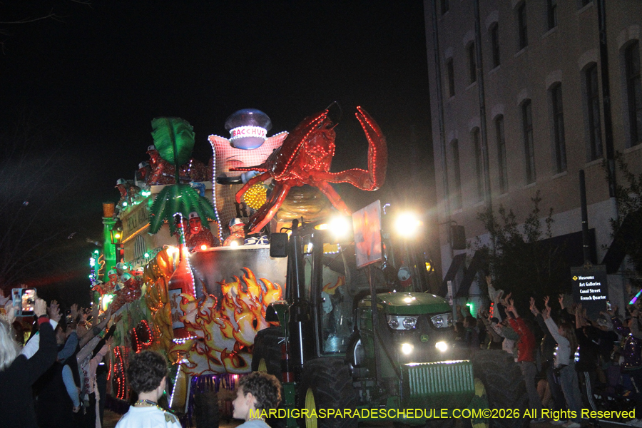 Krewe-of-Bacchus-2026-12169